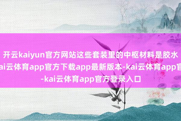 开云kaiyun官方网站这些套装里的中枢材料是胶水和成型水-kai云体育app官方下载app最新版本-kai云体育app官方登录入口