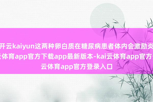 开云kaiyun这两种卵白质在糖尿病患者体内会激励炎症-kai云体育app官方下载app最新版本-kai云体育app官方登录入口